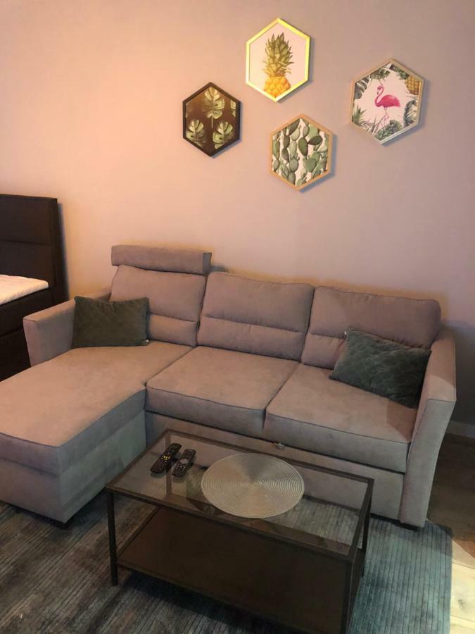 Apartament Flaming Z Balkonem - Scisle Centrum Naprzeciwko Pkp I Pks - Self Check In - Darmowy Parking - Pozne Wymeldowanie - Wystawiamy Fv Opole Eksteriør billede